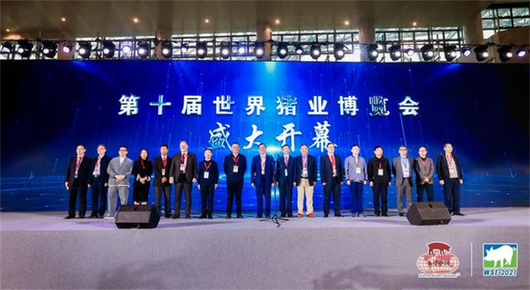 详情-19.jpg